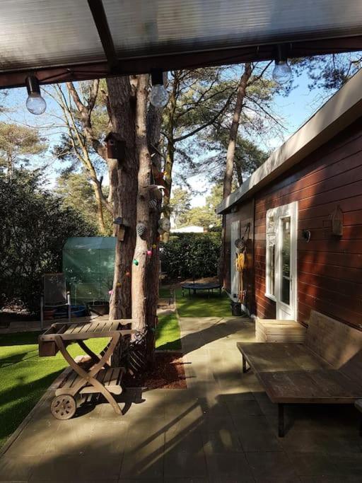 3 Bedroom Chalet On Camping Gt Balen Ngoại thất bức ảnh